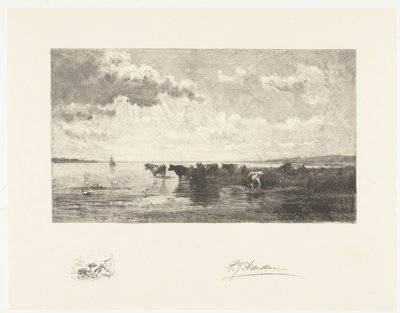 Bovins près d