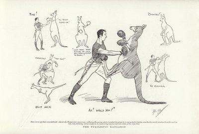 Le Kangourou Pugiliste - Phil May