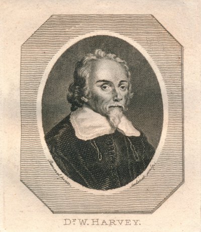 Dr. W. Harvey - Philip Audinet