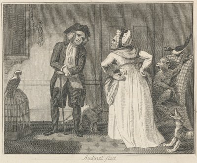 La Mégère et le Perroquet - Philip Audinet