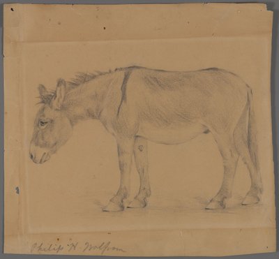 Âne - Philip H. Wolfrom