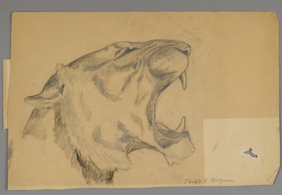 Tête de lion rugissant - Philip H. Wolfrom