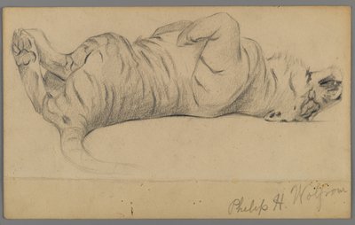 Tigre endormi - Philip H. Wolfrom