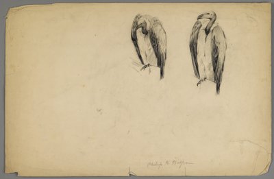 Vautours - Philip H. Wolfrom