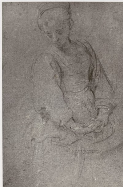 Domenichino, Chagrin - Philip Henry Delamotte