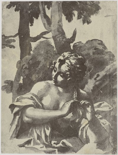 Une fille se tressant les cheveux - Philip Henry Delamotte