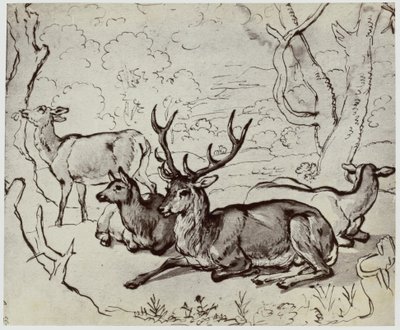 Ridinger, Un Cerf - Philip Henry Delamotte