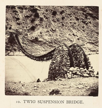 Pont suspendu Twig - Philip Henry Egerton