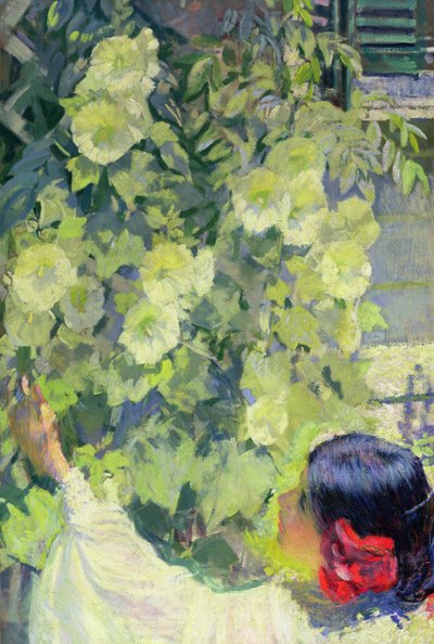 Roses trémières, vers 1923 (huile sur toile) - Philip Leslie Hale