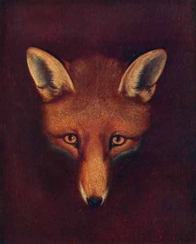 Renard le goupil, c1800, 1922 - Philip Reinagle