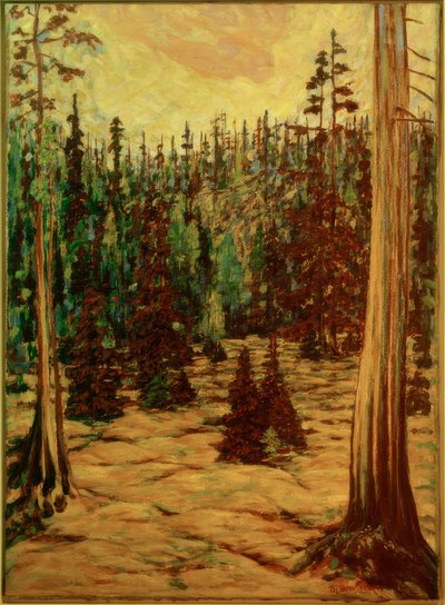 Forêt d