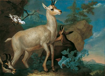 Trois chamois et un merle - Philipp Ferdinand de Hamilton