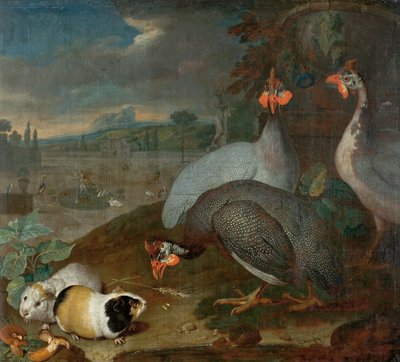 Pintades avec cobayes - Philipp Ferdinand de Hamilton