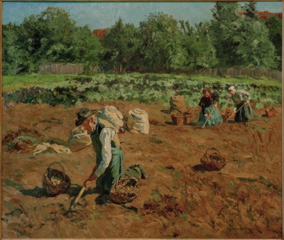 Récolte de pommes de terre - Philipp Franck
