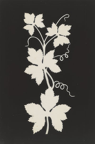 Feuillage de vigne - Philipp Otto Runge
