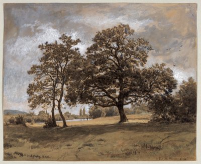 Le chêne Otto-Fröhlicher - Philipp Röth