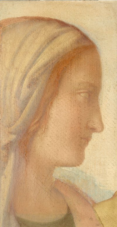 Mädchenprofil - Philipp Veit
