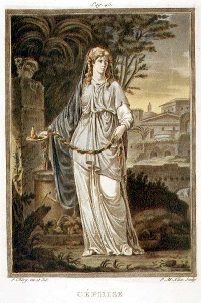 Céphise, costume pour 