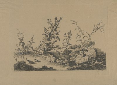 Étude de paysage avec chardons et grenouilles - Philippe Cardon
