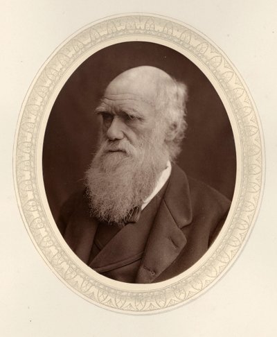 Portrait de Charles Darwin 1809-1882, 1877 - Photo studio Lock and Whitfield