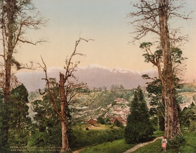 Darjeeling. Kinchinjunga et les neiges de Beechwood Park - Photoglob Co. (Zurich, active c. 1890 1910)