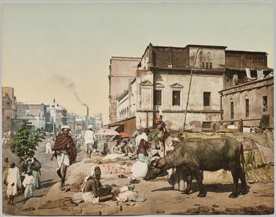 Inde. Calcutta. Harrison Road I avec groupe de Jogees, d
