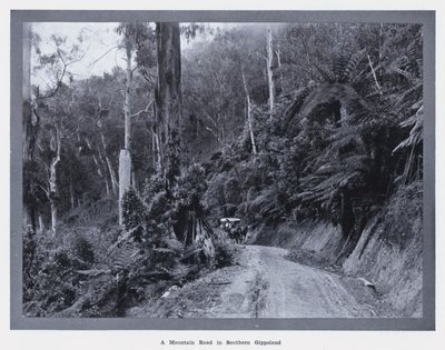 Une route de montagne dans le sud du Gippsland - Photographer Australian