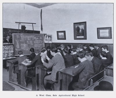 Une classe de laine, école agricole de vente - Photographer Australian