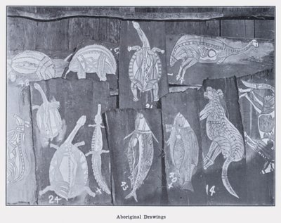 Dessins aborigènes - Photographer Australian