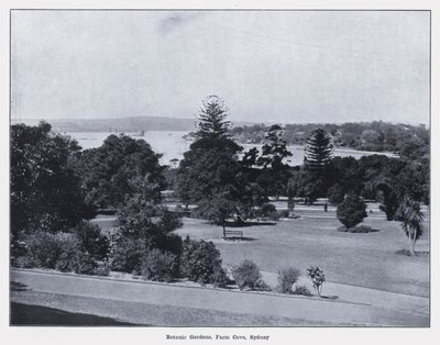 Jardins botaniques, Farm Cove, Sydney - Photographer Australian