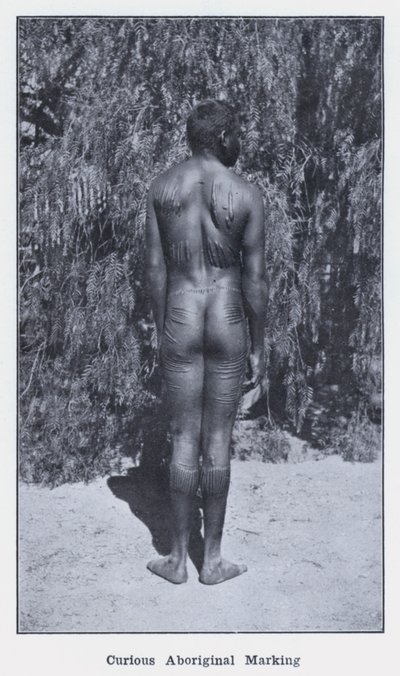 Marquage curieux aborigène - Photographer Australian