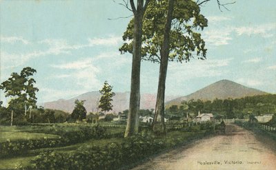 Healesville, Victoria, Australie - Photographer Australian