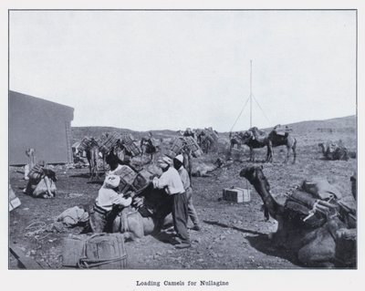 Chargement de chameaux pour Nullagine - Photographer Australian