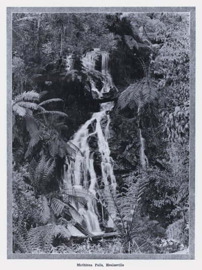 Chutes de Mathinna, Healesville - Photographer Australian