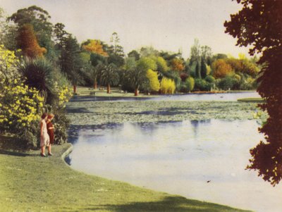 Jardins botaniques de Melbourne - Photographer Australian