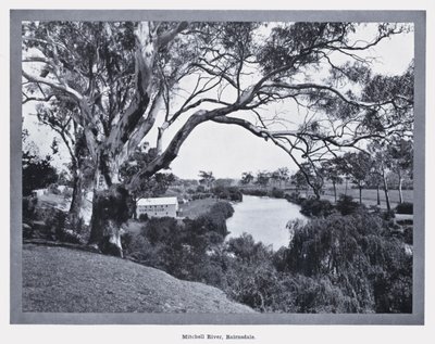 Rivière Mitchell, Bairnsdale - Photographer Australian