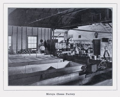 Usine de fromage de Moruya - Photographer Australian