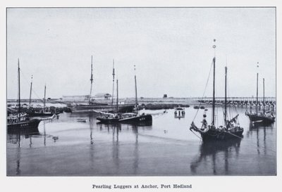 Perliers à l