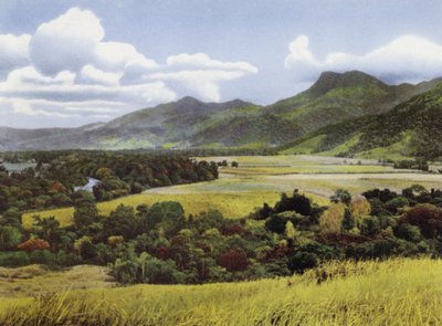 Queensland, Australie : Terres à sucre à Mossman - Photographer Australian