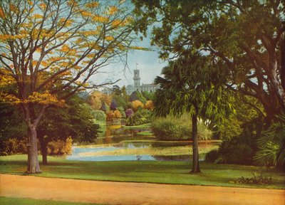  - Photographer Australian