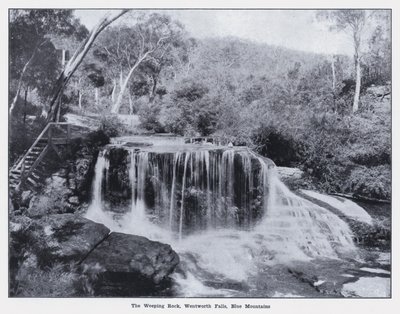 Le Rocher Pleureur, Wentworth Falls, Montagnes Bleues - Photographer Australian