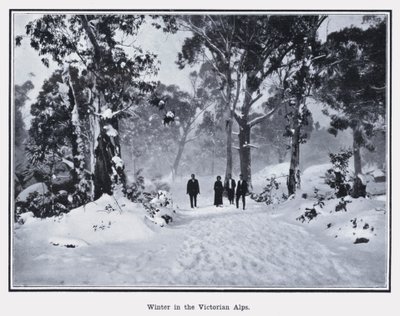 Hiver dans les Alpes victoriennes - Photographer Australian