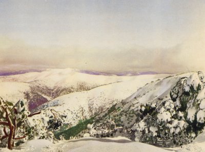 Hiver dans les Alpes victoriennes - Photographer Australian