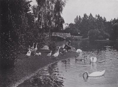 Lac, Beacon Hill Park, Victoria, Colombie-Britannique - Photographer Canadian