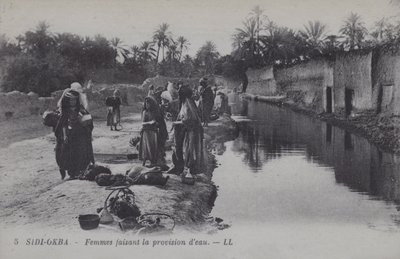 Femmes collectant de l