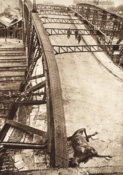 Percée des armées alliées en Galicie orientale : passerelle sur chemin de fer détruite par les Russes à Ternopil - Photographer German