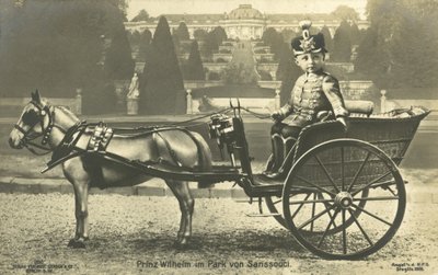 Prince héritier Willhelm, palais de Sanssouci, Potsdam - Photographer German