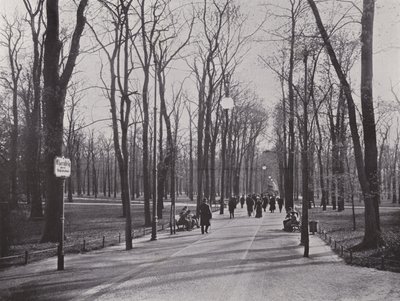 Dans le Tiergarten, Ahornsteig - Photographer German