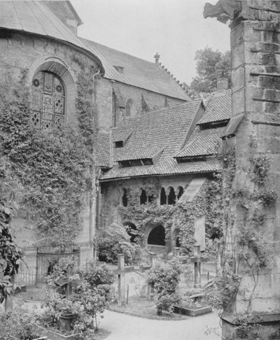 Rosenstock millénaire - Photographer German