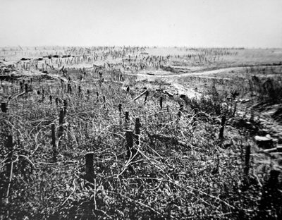 Défenses en fil de fer barbelé allemandes de la position de Beaurevoir, partie de la ligne Hindenburg - Photographer German